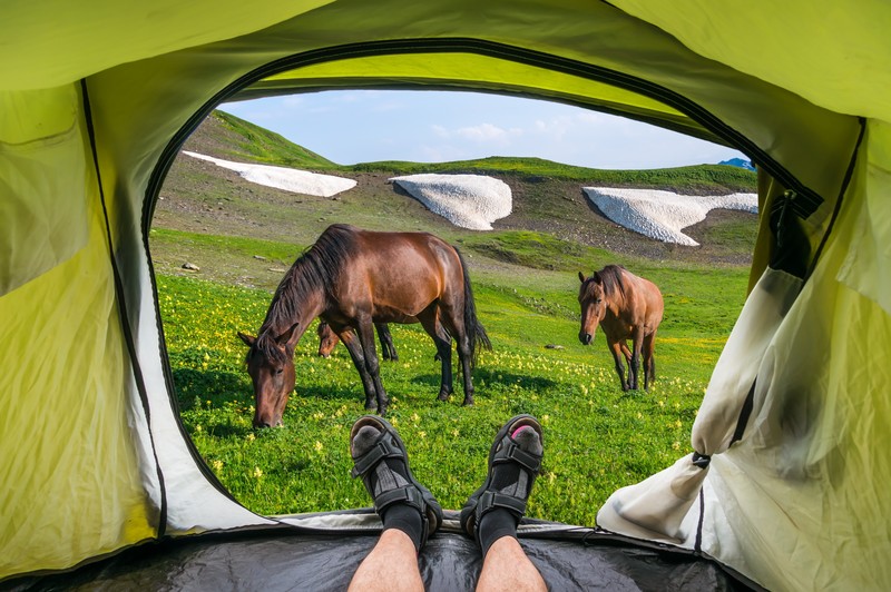 Planning Summer Trail Riding Campouts - Cowgirls In Style Magazine