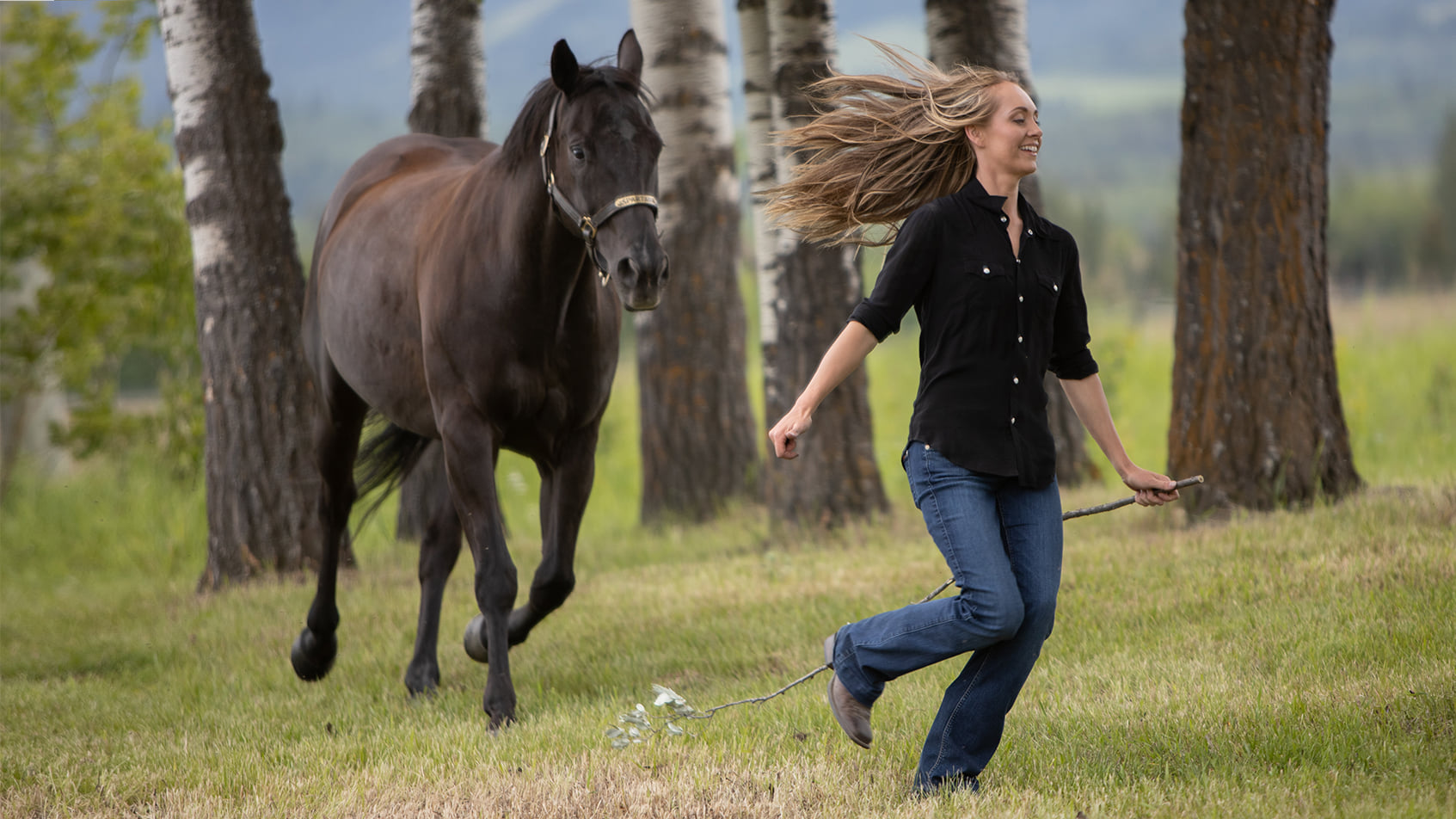 amberheartland