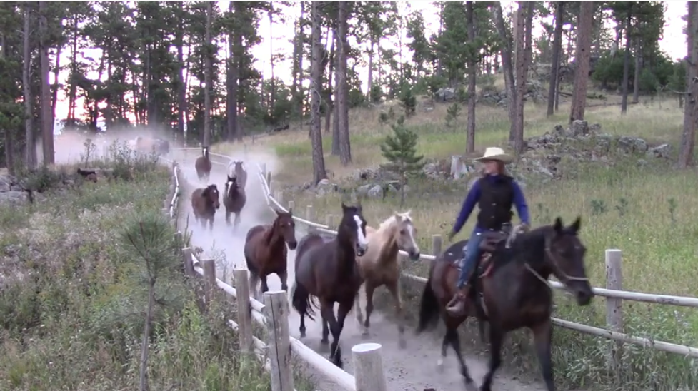 3coolcowgirlss