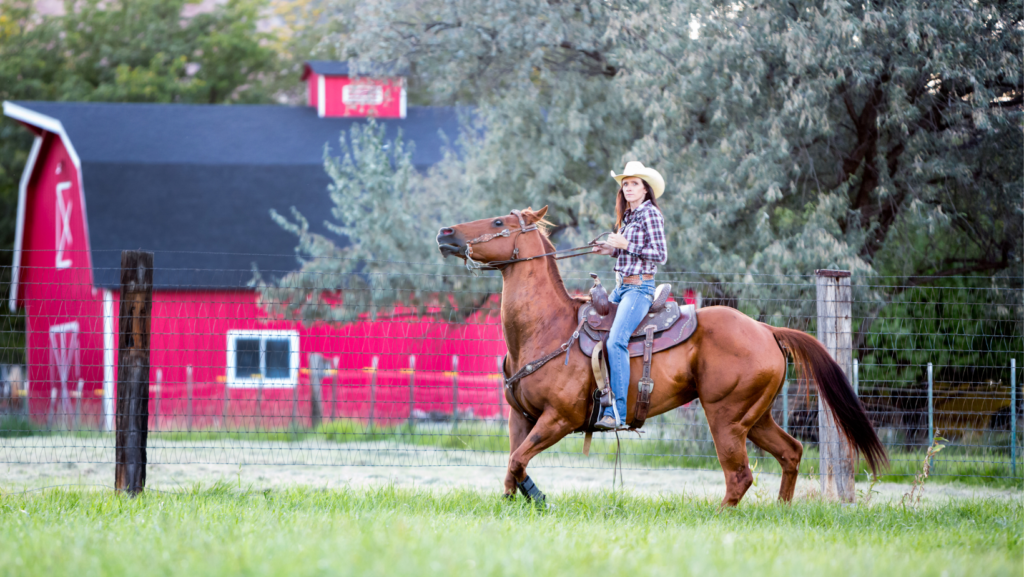 The Quarter Horse, America's Horse Cowgirls In Style Magazine