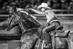 gpoulsen-rodeo-6635972_1920