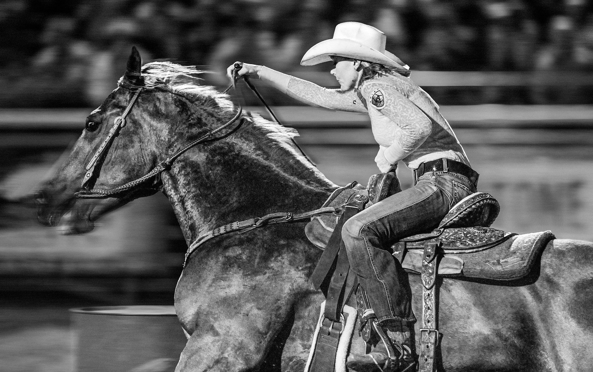 gpoulsen-rodeo-6635972_1920